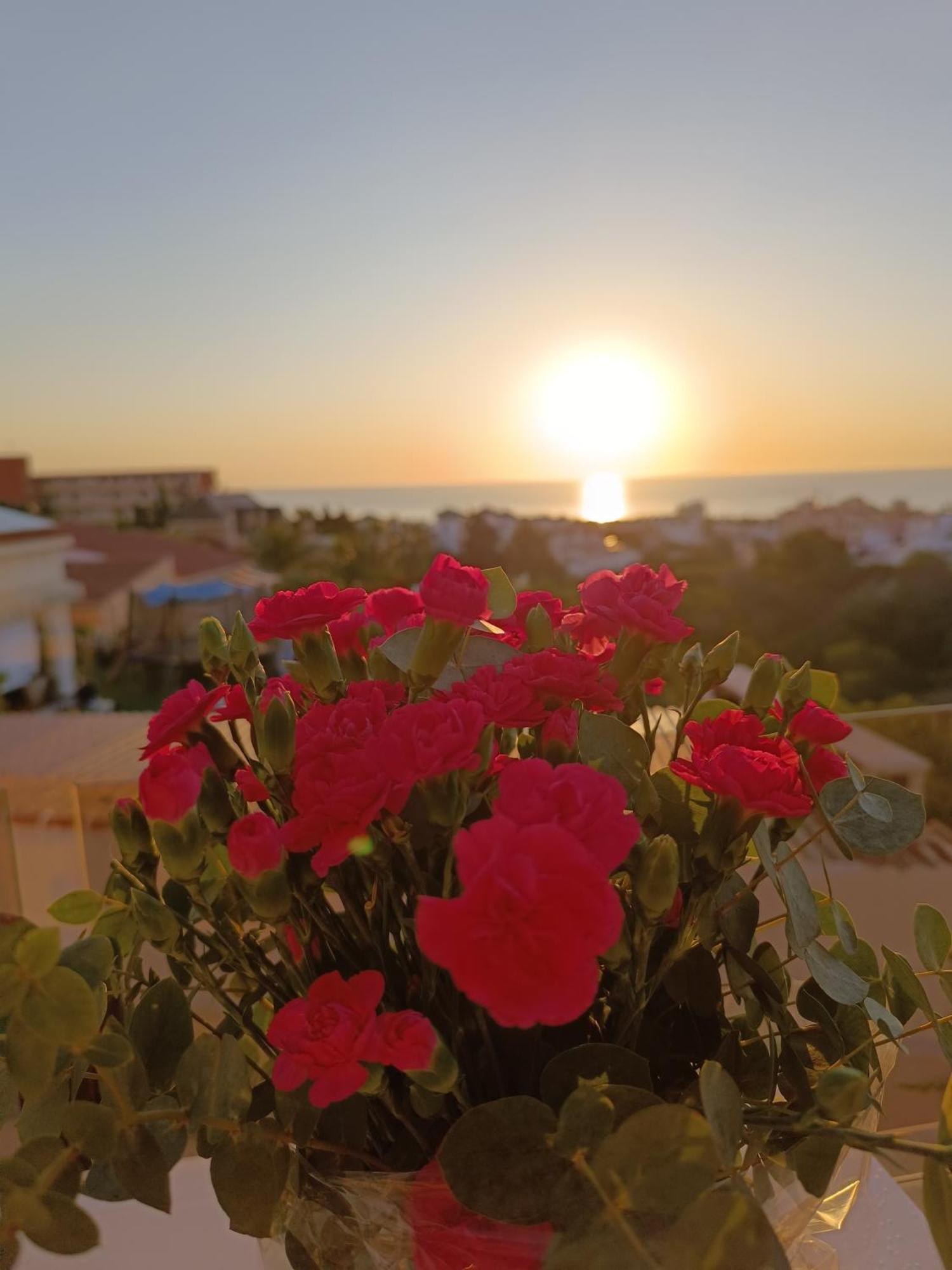 Rising Sun Bungalow Torrevieja Kültér fotó